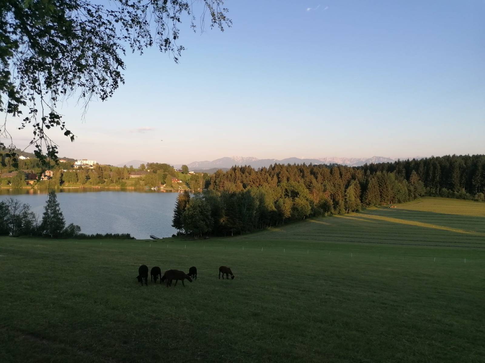 Sportwoche am Maltschachersee