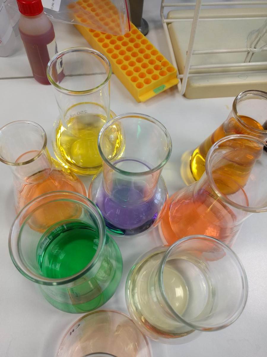 Chemieolympiade | BRG Wörgl