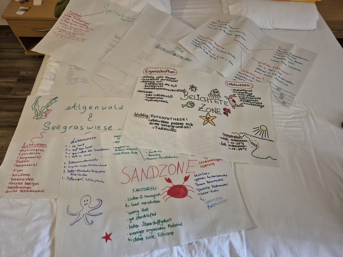 ABCDEm | WPF | BRG Wörgl