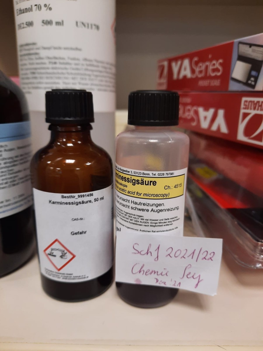 ABCDEm | WPF | BRG Wörgl