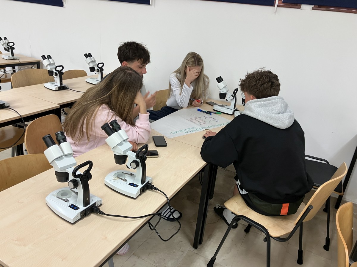 ABCDEm | WPF | BRG Wörgl