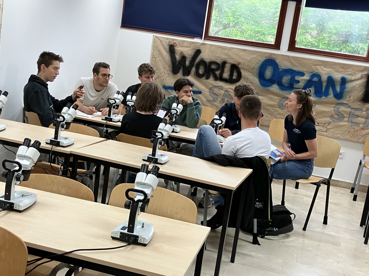 ABCDEm | WPF | BRG Wörgl