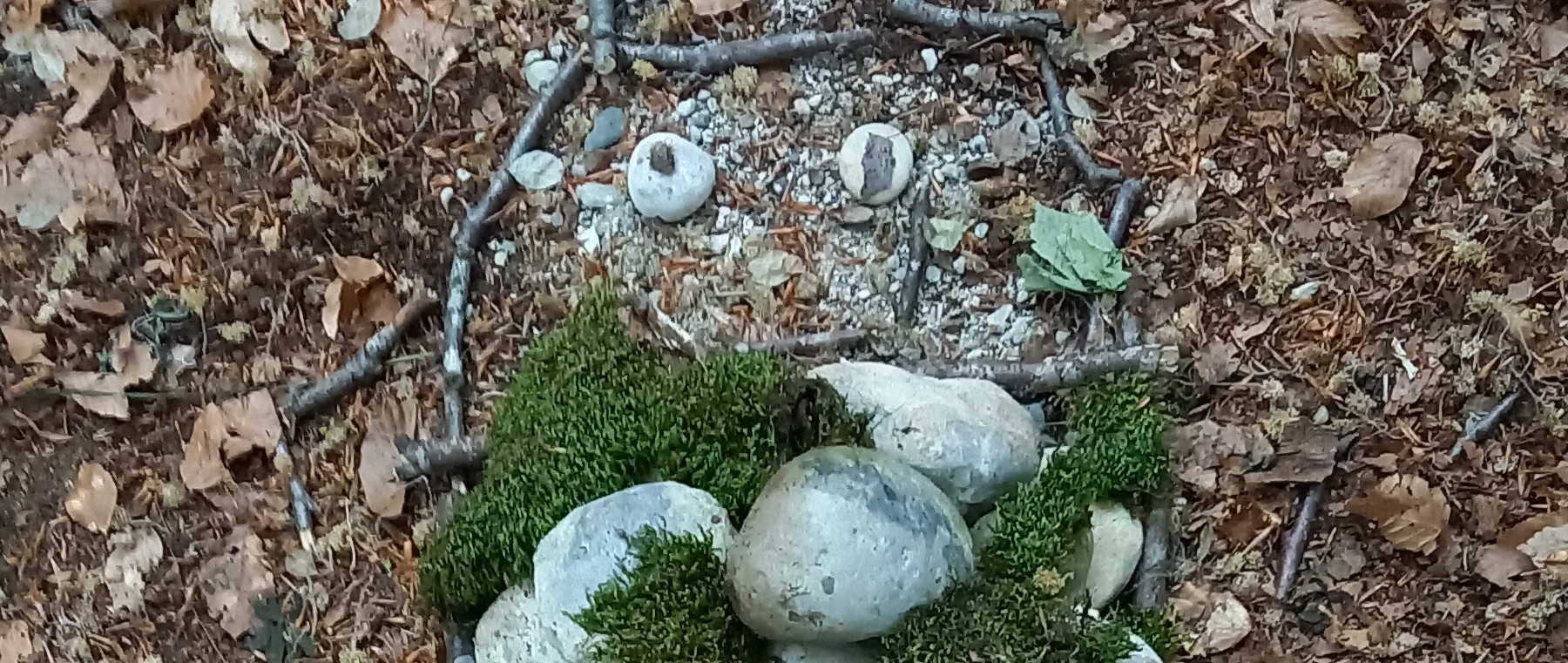 Naturerlebnis-Projekttage der Klasse 1E